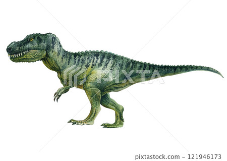 Watercolor dinosaurs tyrannosaurus isolated on white, prehistoric animals, triceratops, t-rex green dinosaur Watercolor dinosaurs tyrannosaurus isolated on white, prehistoric animals, triceratops, t-rex green dinosaur 121946173