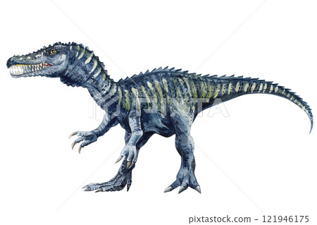 Watercolor dinosaurs Spinosaurus dinosaur watercolor illustration. Hand-painted prehistoric Isolated on white background Watercolor dinosaurs Spinosaurus dinosaur watercolor illustration. Hand-painted prehistoric Isolated on white background 121946175