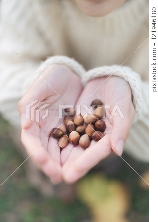 孩子的手上有橡子 121946180