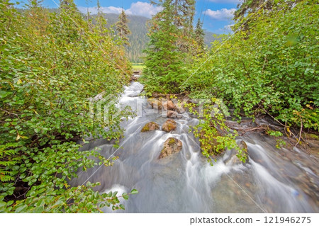 Wild river in the forest near Mt Garibaldi with clear water and lush greenery 121946275