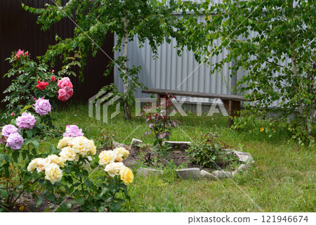 A fragment of a courtyard with roses, trees and a bench A fragment of a courtyard with roses, trees and a bench 121946674