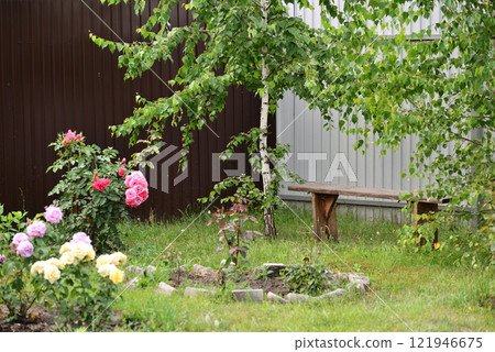 A fragment of a courtyard with roses, trees and a bench 121946675