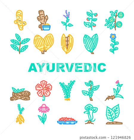 ayurvedic herbs medical icons set vector 121946826