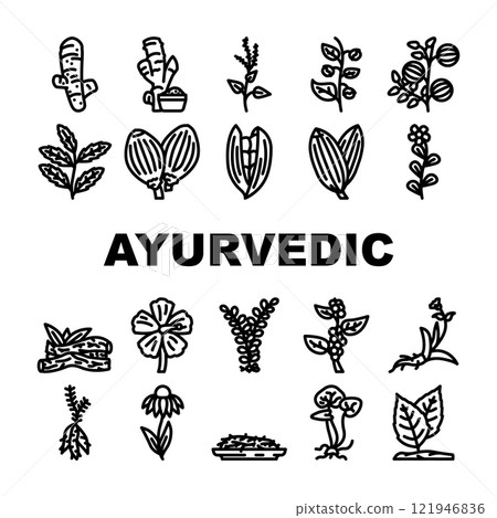 ayurvedic herbs medical icons set vector 121946836