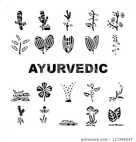 ayurvedic herbs medical icons set vector 121946847