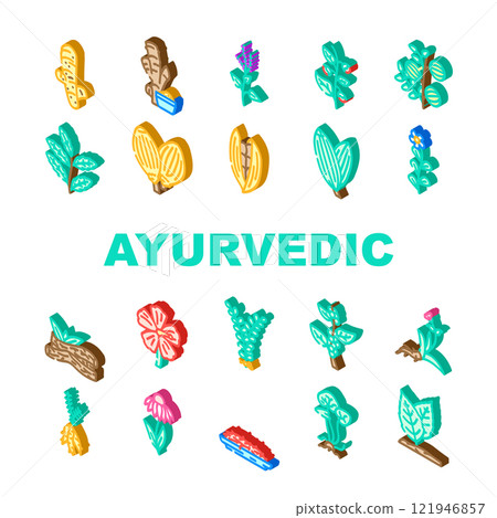 ayurvedic herbs medical icons set vector ayurvedic herbs medical icons set vector 121946857