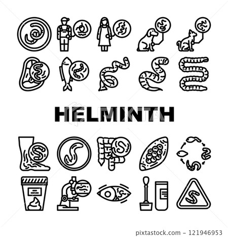 helminth worm parasite nematode icons set vector helminth worm parasite nematode icons set vector 121946953