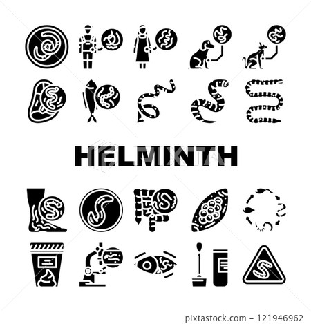 helminth worm parasite nematode icons set vector 121946962