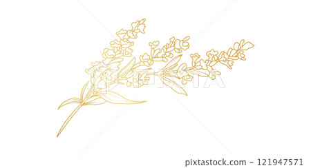 Golden Lavender flowers line art isolated on white background. Luxury Lavender floral design elements for invitation, wedding, wallpaper, print template, vector illustration 121947571