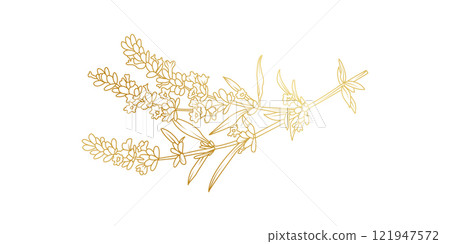 Golden Lavender flowers line art isolated on white background. Luxury Lavender floral design elements for invitation, wedding, wallpaper, print template, vector illustration Golden Lavender flowers line art isolated on white background. Luxury Lavender floral design elements for invitation, wedding, wallpaper, print template, vector illustration 121947572