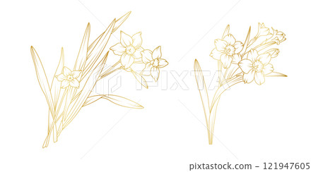 Narcissus lily flowers line art isolated on white background. Luxury daffodil floral golden design elements for invitation, wedding, wallpaper, print template, vector illustration 121947605