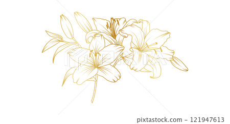 Golden lily flowers line art isolated on white background. Luxury lilies floral design elements for invitation, wedding, wallpaper, print template, vector illustration 121947613