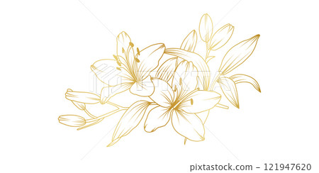 Golden lily flowers line art isolated on white background. Luxury lilies floral design elements for invitation, wedding, wallpaper, print template, vector illustration 121947620