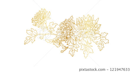 Golden Chrysanthemum flowers line art isolated on white background. Luxury Chrysanthemum floral design elements for invitation, wedding, wallpaper, print template, vector illustration 121947633