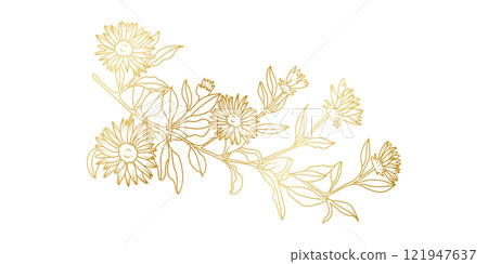 Golden Aster flowers line art isolated on white background. Luxury Aster floral design elements for invitation, wedding, wallpaper, print template, vector illustration 121947637