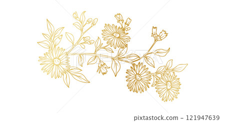 Golden Aster flowers line art isolated on white background. Luxury Aster floral design elements for invitation, wedding, wallpaper, print template, vector illustration 121947639