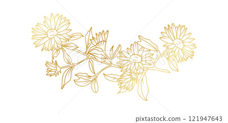 Golden Aster flowers line art isolated on white background. Luxury Aster floral design elements for invitation, wedding, wallpaper, print template, vector illustration 121947643
