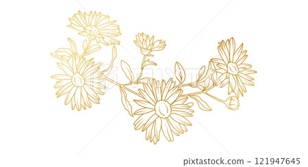 Golden Aster flowers line art isolated on white background. Luxury Aster floral design elements for invitation, wedding, wallpaper, print template, vector illustration 121947645