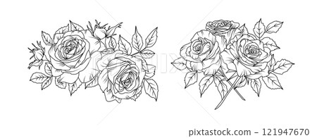 Rose flower arrangement line art on white background. Silhouette roses botanical hand drawn element for wedding, invitation frame design, vector illustration 121947670