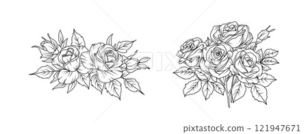 Rose flower arrangement line art on white background. Silhouette roses botanical hand drawn element for wedding, invitation frame design, vector illustration 121947671