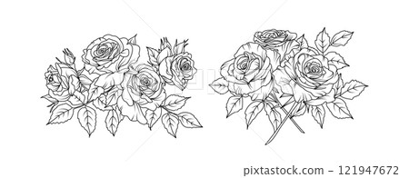 Rose flower arrangement line art on white background. Silhouette roses botanical hand drawn element for wedding, invitation frame design, vector illustration 121947672