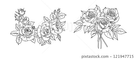 Rose flower arrangement line art on white background. Silhouette roses botanical hand drawn element for wedding, invitation frame design, vector illustration Rose flower arrangement line art on white background. Silhouette roses botanical hand drawn element for wedding, invitation frame design, vector illustration 121947715