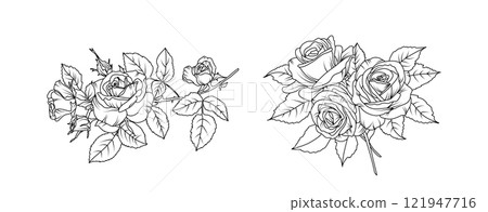 Rose flower arrangement line art on white background. Silhouette roses botanical hand drawn element for wedding, invitation frame design, vector illustration Rose flower arrangement line art on white background. Silhouette roses botanical hand drawn element for wedding, invitation frame design, vector illustration 121947716