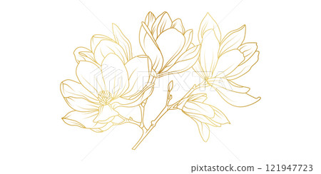 Golden magnolia flowers line art isolated on white background. Luxury magnolia floral design elements for invitation, wedding, wallpaper, print template, vector illustration 121947723