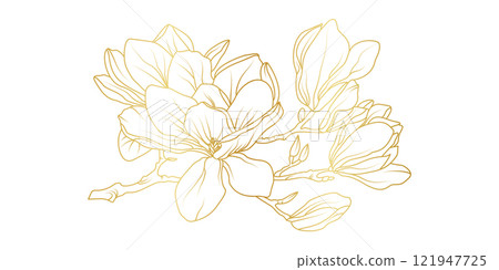 Golden magnolia flowers line art isolated on white background. Luxury magnolia floral design elements for invitation, wedding, wallpaper, print template, vector illustration Golden magnolia flowers line art isolated on white background. Luxury magnolia floral design elements for invitation, wedding, wallpaper, print template, vector illustration 121947725