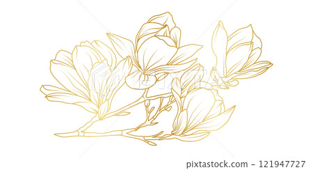 Golden magnolia flowers line art isolated on white background. Luxury magnolia floral design elements for invitation, wedding, wallpaper, print template, vector illustration Golden magnolia flowers line art isolated on white background. Luxury magnolia floral design elements for invitation, wedding, wallpaper, print template, vector illustration 121947727