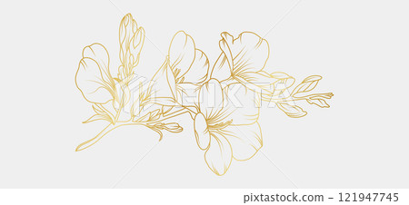 Golden freesia flowers line art isolated on white background. Luxury magnolia floral design elements for invitation, wedding, wallpaper, print template, vector illustration 121947745
