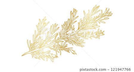 Golden Rosemary line art isolated on white background. Luxury Rosemary leaves design elements for invitation, cooking, cosmetic, wallpaper, print template, vector illustration 121947766