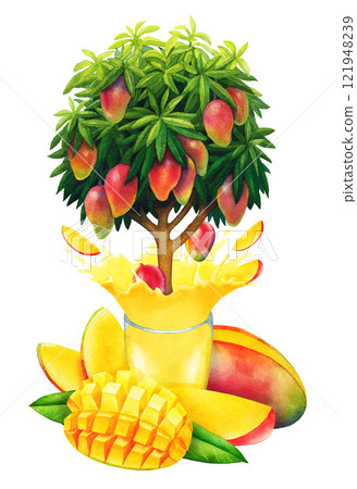 Watercolor glass and bottle of juice, mangoes, leaves and a tree Watercolor glass and bottle of juice, mangoes, leaves and a tree 121948239