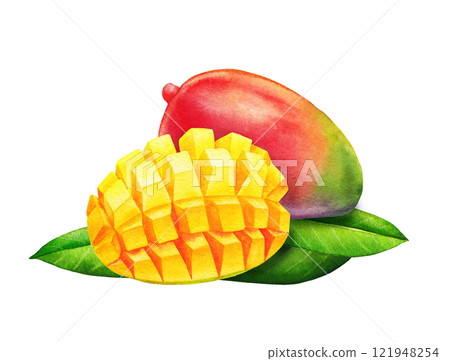 Watercolor composition of a whole and diced mangoes on a leaves 121948254