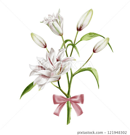 Bouquet of lilies. Spring delicate set of flowers tied with a pink ribbon. Vintage silk bow.Large white and pink lily flowers on a stem with buds and leaves.Watercolor illustration without background. Bouquet of lilies. Spring delicate set of flowers tied with a pink ribbon. Vintage silk bow.Large white and pink lily flowers on a stem with buds and leaves.Watercolor illustration without background. 121948302