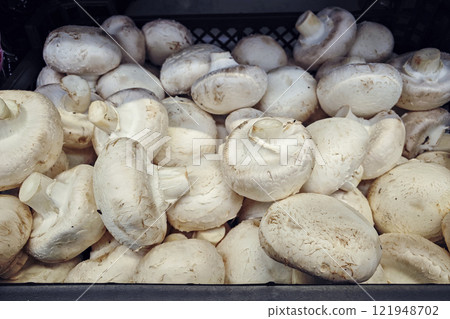 Mushrooms on the grocery store shelf 121948702