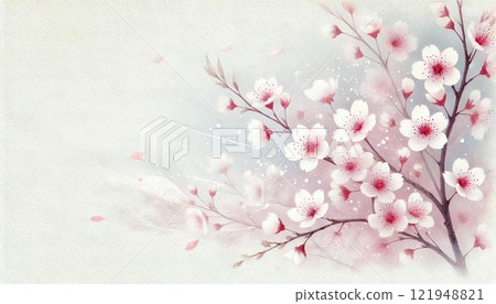 Cherry blossoms and cherry blossom snowstorm Cherry blossoms and cherry blossom snowstorm 121948821