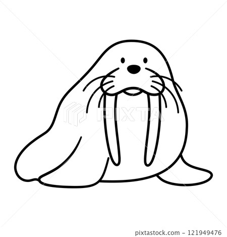Walrus Vector Outline Illustration 121949476