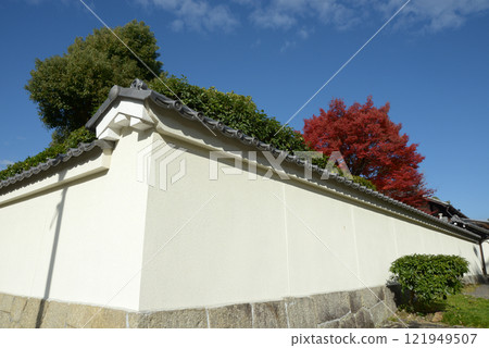 妙心寺大龍院白牆與秋葉京都市右京區花園 121949507