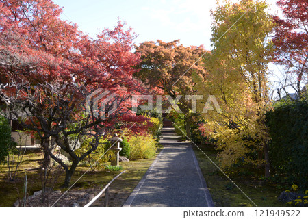 Myoshinji Temple Daidoin Temple grounds, Hanazono, Ukyo Ward, Kyoto City 121949522