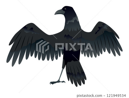 Raven. Silhouette Representing Bird Specie Captured in Moment of Flight and Resting 121949534