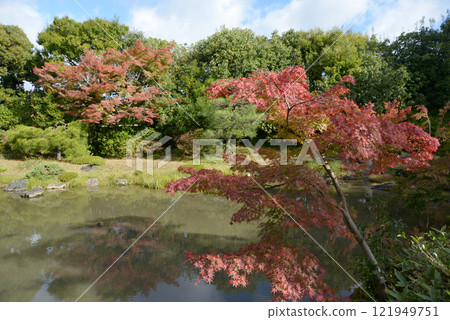 京都市左京區小川治平七世創建的日本庭園無里南 121949751
