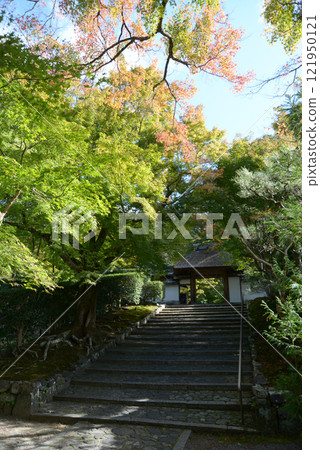 Anrakuji Temple, approach and temple gate, Shishigatani, Sakyo Ward, Kyoto City 121950121