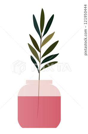 A leafy green plant is in a pink vase 121950444
