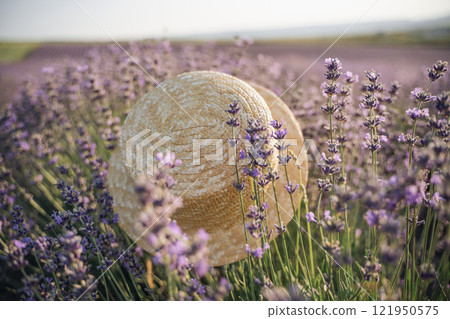 A straw hat is sitting in a field of purple flowers. The hat is the only object in the scene, and it is surrounded by a sea of lavender. A straw hat is sitting in a field of purple flowers. The hat is the only object in the scene, and it is surrounded by a sea of lavender. 121950575