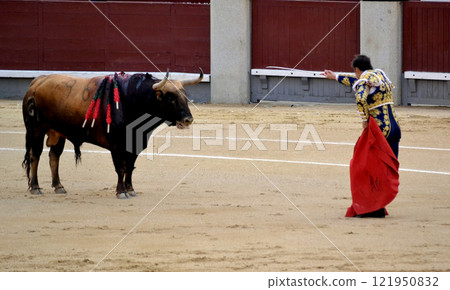 Traditional spanish bullfighting scene in arena capturing the dramatic dance between matador and bull. Torero in a costume of light with red muleta in front of a bull in a bullring. Spanish traditions Traditional spanish bullfighting scene in arena capturing the dramatic dance between matador and bull. Torero in a costume of light with red muleta in front of a bull in a bullring. Spanish traditions 121950832