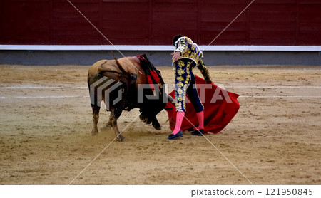 Traditional spanish bullfighting scene with matador and bull in arena. Torero in a costume of light with a red muleta in front of a bull in a bullring. Spanish traditions 121950845