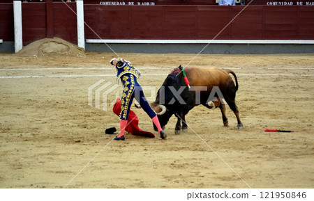 Traditional bullfighting arena scene in madrid capturing spanish culture and heritage. Tauromaquia. Spanish traditions 121950846