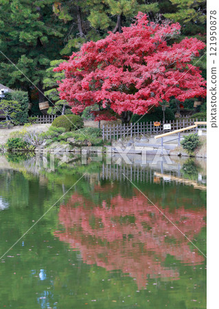Autumn leaves of Okayama Korakuen 121950878