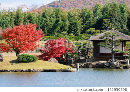岡山後樂園秋葉 121950898